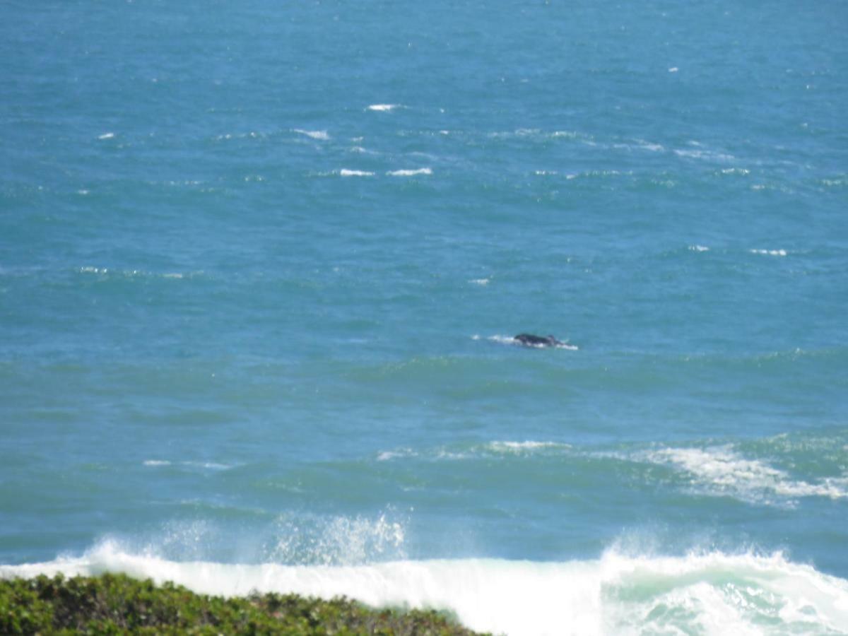 Troon Beach Cottage Hermanus Exterior foto